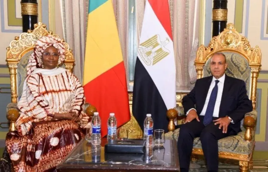 وزير الخارجية يعلن التزام مصر بتعزيز التعاون مع مالي في جميع المجالات