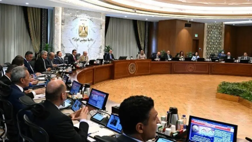 الحكومة تعزز المساحات الخضراء بتشجير الطرق والمحاور الرئيسية وتمنع قطع الأشجار