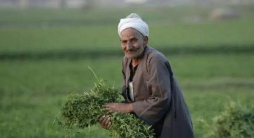 غدا وزير الزراعة يحتفل بالعيد الرابع والسبعين للفلاحين في البحيرة