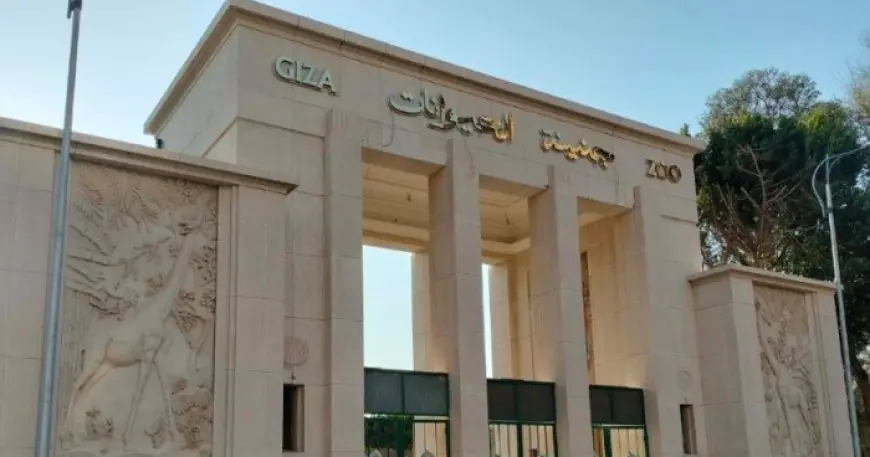 اكتشفوا تفاصيل عودة حديقة الحيوان بالجيزة بعد 3 سنوات من التطوير المثير