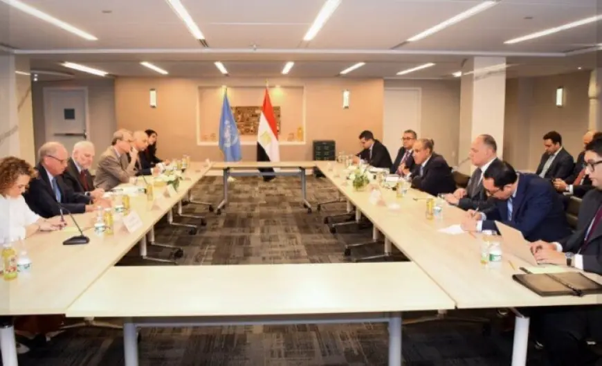 وزير الخارجية المصري يعلن رفض مصر القاطع لتهجير الفلسطينيين خلال لقاء مع وفد المنظمات اليهودية الأمريكية