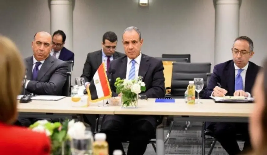 عبد العاطي يدعو إلى دور أممي أكثر تأثيرًا لمواجهة تحديات الدول النامية