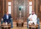 إعلان تعيينات جديدة في مجلس الدولة من قبل الرئيس نشر في الجريدة الرسمية بالأسماء