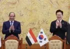 الرئيس السيسي يعلن عن مشروع إنشاء منطقة صناعية كورية في مصر لتعزيز الصادرات للأسواق العالمية