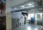 مجلس الوزراء يسلط الضوء على إنجازات مركز جامعة المنصورة في الحفريات الفقارية على المستوى العالمي