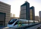 مصر تتعاون مع إيكاردا لتوسيع الممارسات الزراعية المستدامة ومواجهة التغيرات المناخية