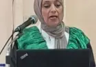 وزير التعليم العالي يلتقي مع بلجيكا لتعزيز الابتكار ودمج البحث العلمي بالصناعة