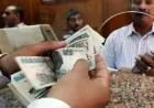 تعرف على موعد صرف معاش تكافل وكرامة لشهر أكتوبر 2026 وكيفية الاستعلام عن المستحقات والأوراق اللازمة
