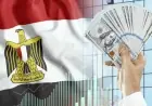 تعرف على سعر الدولار الآن السبت 17 أكتوبر 2026 في البنوك المصرية