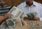 انطلاقة نحو التمكين الاقتصادي تمويلات تصل إلى 30 ألف جنيه لمستفيدي برنامج تكافل وكرامة