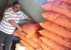 محافظة الجيزة تجمع 10 ملايين جنيه غرامات من أصحاب المخابز البلدية