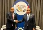 وزير الخارجية يعقد اجتماعًا مع نظيره الجيبوتي لمناقشة تعزيز العلاقات الثنائية والتطورات الإقليمية
