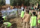 زراعة 3620 شجرة في بني سويف بدعم من وزيرة التنمية المحلية والبيئة