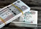 تعرف على موعد صرف معاشات نوفمبر 2026 وخطوات الاستعلام وأماكن الصرف الميسرة