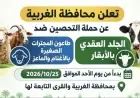 محافظ الغربية يطلق غدًا الأحد المرحلة الثانية من الحملة القومية للتحصين ضد الأمراض الوبائية