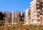 الإسكان تعلن عن اختيار 17 شركة لبناء 20 ألف وحدة سكنية لمحدودي الدخل