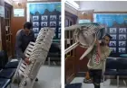 الجيزة تغلق 6 مراكز دروس خصوصية غير مرخصة في العمرانية وإمبابة للحد من التعليم غير القانوني