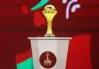 كاف يدرس العودة لتنظيم كأس أمم أفريقيا كل عامين