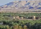 تعزيز صناعة التمور وتوفير فرص العمل من خلال مشروعات تنموية في الوادي الجديد