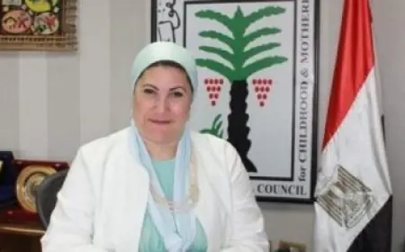 مصر تعبر عن إدانتها القوية للهجوم على محطة كهرباء المدينة المنورة وتؤكد دعمها الكامل للمملكة العربية السعودية
