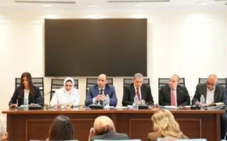 قمة العلمين تعزز الاستثمار في أفريقيا من خلال إنشاء منصة لتوحيد تعهدات رأس المال الخاص