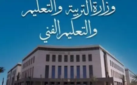 الرئيس السيسي ينطلق في جولة آسيوية مثيرة تشمل كوريا وماليزيا وإندونيسيا