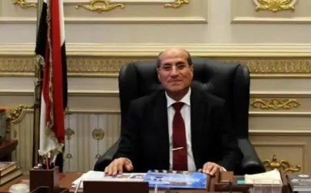 النائب حسني عبد اللطيف يتولى رئاسة لجنة الشؤون الدستورية والتشريعية في مجلس الشيوخ