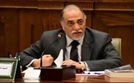 القصبي يتولى رئاسة لجنة حقوق الإنسان والتضامن وياسر قورة وكيلًا في مجلس الشيوخ