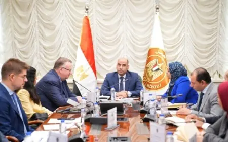 وزير العمل يدعو لاستكمال سريع للخطة التنفيذية لاستراتيجية التشغيل لتحقيق فرص أكبر للعمل