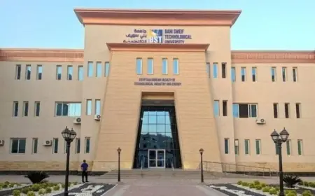 نتيجة التنسيق التكميلي 2026 للجامعات التكنولوجية متاحة الآن رابط الاستعلام وطباعة بطاقة الترشيح