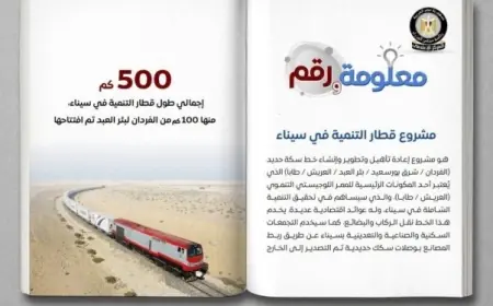 500 كم من الخطوط الحديدية تربط المصانع بالموانئ في سيناء تعرف على مزايا قطار التنمية