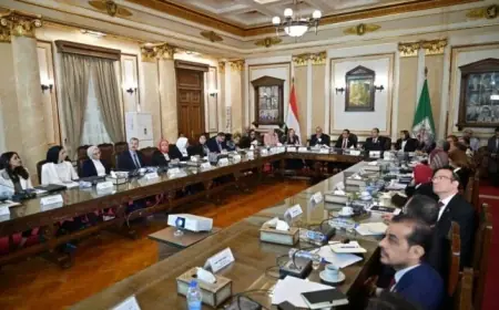 جامعة القاهرة تستعد لمنتدى مصر 2026 من خلال مناقشة مستقبل الاقتصاد وحلول جديدة للنقد الأجنبي والاستثمار