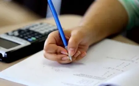 احصل على التقييمات الأسبوعية 2026 بطرق سهلة وفعالة لجميع صفوف النقل مع الرابط والخطوات الكاملة لتحميلها