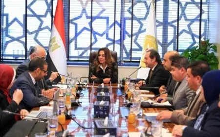وزيرة التنمية المحلية تؤكد أهمية الذاكرة المؤسسية في تسريع اتخاذ القرارات وتعزيز التحول الرقمي