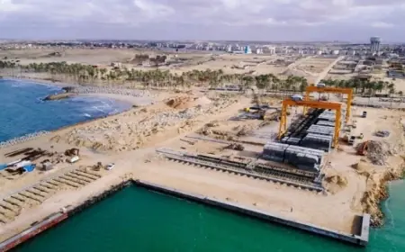تحولات سيناء من التحرير إلى التنمية المستدامة قلب المستقبل في مصر فيديو