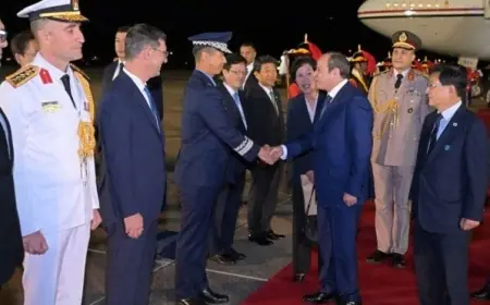 الرئيس السيسي يستعرض فرص الشراكات الاستراتيجية المستدامة بين مصر وكوريا
