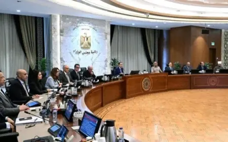 الحكومة تقرر تمديد فترة استقبال طلبات تقنين الأراضي المملوكة للدولة ملكية خاصة