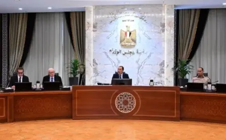 الحكومة تدعم الثقافة والفنون بإعفاء ضريبة الملاهي عن 4 فعاليات كبرى