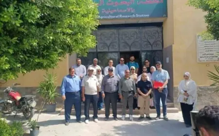 البحوث الزراعية تستقبل وفدًا من جامعة النيل والوكالة الإسبانية للتعاون والتنمية لتعزيز التعاون البحثي
