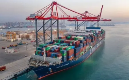 التجارة بين مصر وماليزيا تصل إلى 74.7% إثر زيارة الرئيس السيسي وما أهميتها للبلدين