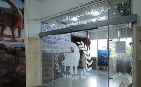 مجلس الوزراء يسلط الضوء على إنجازات مركز جامعة المنصورة في الحفريات الفقارية على المستوى العالمي