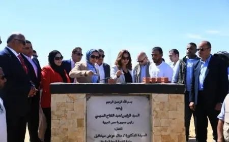 رئيس وزراء ماليزيا يؤكد التزام بلاده بتعزيز التعاون مع مصر وآفاق جديدة للإستثمار