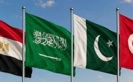مصر والسعودية وتركيا وباكستان توحد الصفوف ضد هجمات ميليشيا الحوثي على المملكة