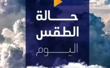 الرئيس السيسى يؤكد أن البنية الأساسية المتطورة في مصر تدعم جذب الاستثمارات المتنوعة