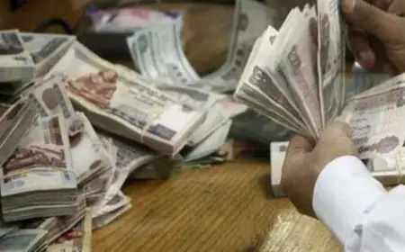 تعرف على موعد صرف معاش تكافل وكرامة لشهر أكتوبر 2026 وخطوات الاستعلام والتسجيل بسهولة