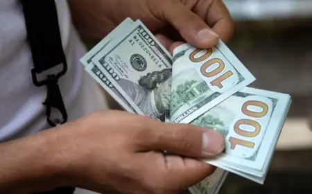 إحصائية غير مسبوقة تحويلات المصريين بالخارج تصل إلى 33.9 مليار دولار حتى نهاية أغسطس وفقًا للبنك المركزي