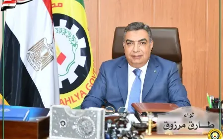 محافظ الدقهلية يحيل رئيس مدينة طلخا ورئيس وحدة ميت الكرماء للتحقيقات