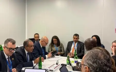 لقاء هام بين وزير الخارجية ونائب رئيس البنك الدولي لمنطقة الشرق الأوسط وشمال أفريقيا