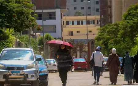 الأرصاد تكشف عن أجواء مستقرة لمعظم المناطق ودرجة الحرارة في القاهرة الكبرى تصل 28 مساء اليوم