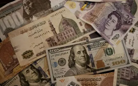 سعر الدولار اليوم الأربعاء 14 أكتوبر 2026 في البنوك يقترب من 53 جنيهًا: تحديثات يومية وأسعار محدثة
